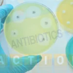 Main Mechanisms of Action for Antibiotics