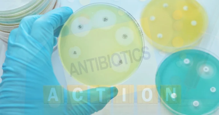 Main Mechanisms of Action for Antibiotics