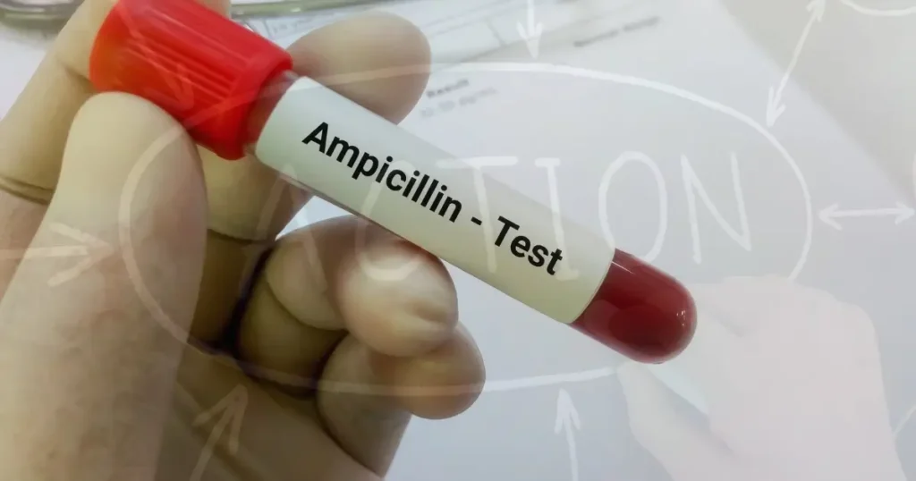 Ampicillin Uses